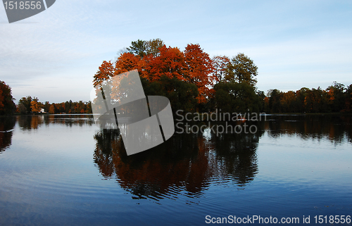 Image of Autumn in Pushkin