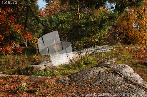 Image of Autumn in the park