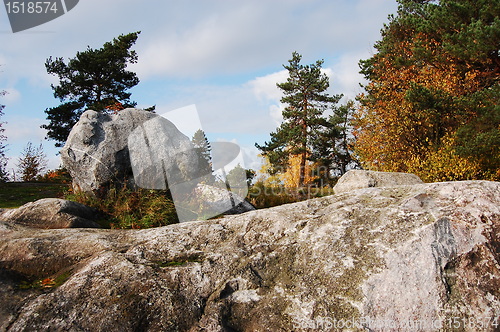 Image of Autumn in the park