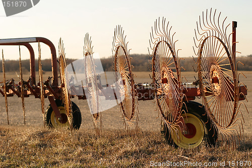 Image of Wheel Rakes - front