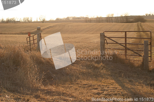 Image of Golden Glow on a Iowa landscape