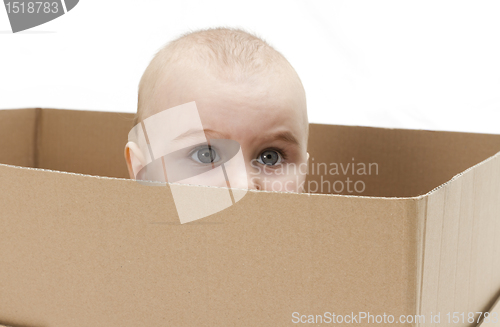 Image of young child in cardboard box
