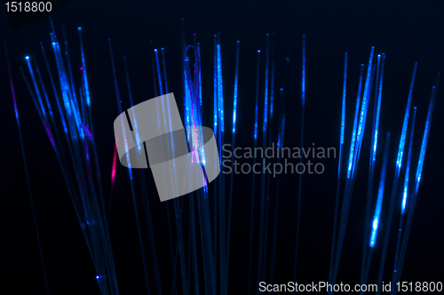 Image of Optical fibers