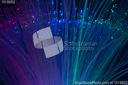 Image of Optical fibers