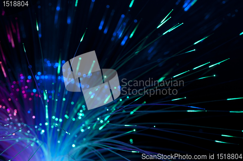 Image of Optical fibers