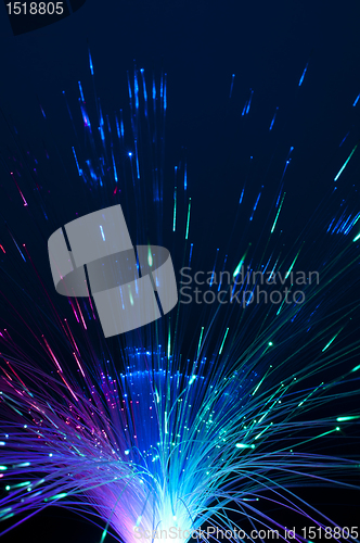 Image of Optical fibers