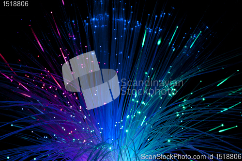 Image of Optical fibers