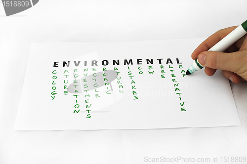 Image of Environment and Ecology