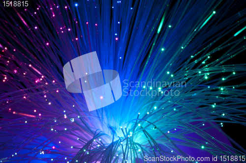 Image of Optical fibers