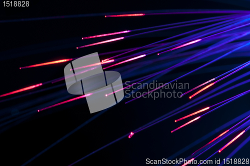 Image of Optical fibers