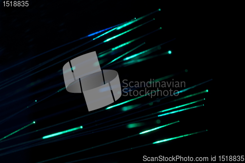 Image of Optical fibers