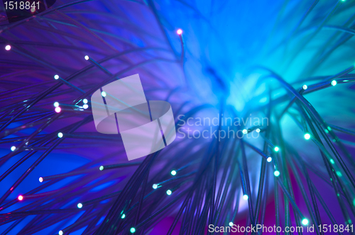 Image of Optical fibers