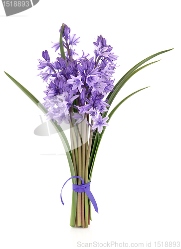 Image of Bluebell Flowers