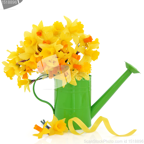 Image of Daffodil and Narcissus  