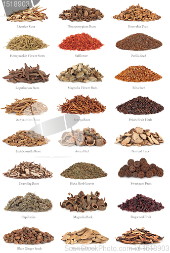 Image of Chinese Herbal Medicine with Titles