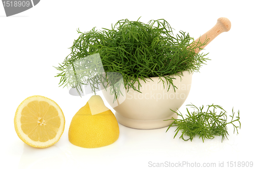 Image of Dill Herb and Lemon 