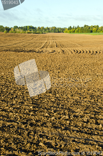 Image of Plow agricultural fields autumn background ground