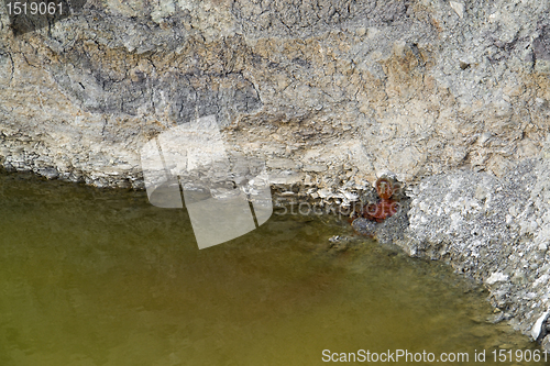 Image of water contamination