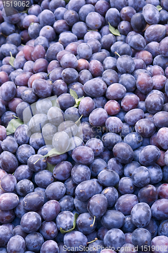 Image of lots of plums
