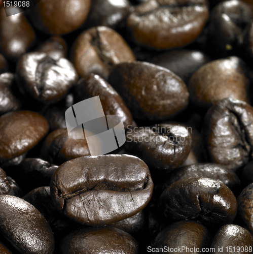 Image of roasted coffee beans