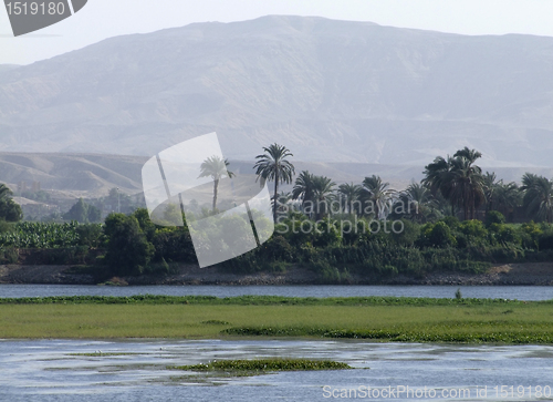 Image of egyptian Nile coast scenery