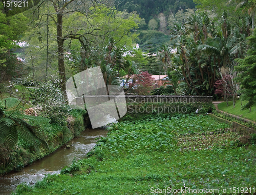 Image of bridge at Sao Miguel