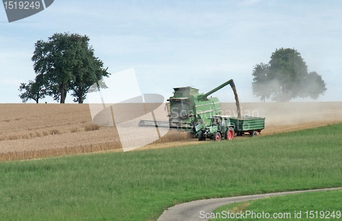 Image of harvesting harvester on a crop field