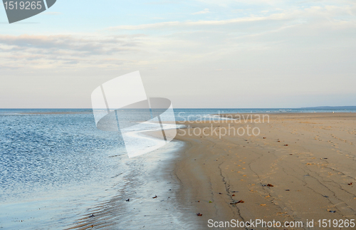 Image of Crane Beach coastal scenery