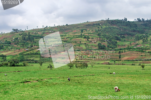 Image of Virunga Mountains in cloudy ambiance