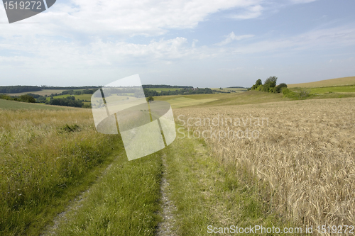 Image of rural panoramic scenery with field path