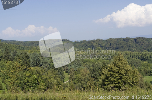 Image of summertime scenery around Liliental