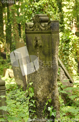 Image of old graveyard detail in Berlin