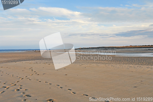 Image of Crane Beach panoramic view