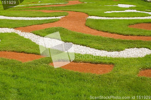 Image of Grass