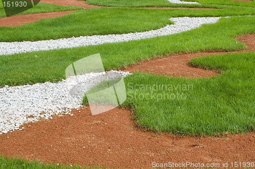 Image of Grass
