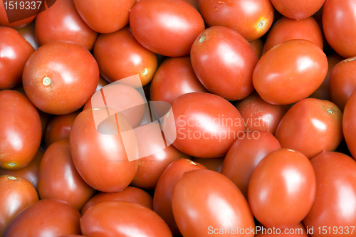 Image of lots of fresh red tomatoes