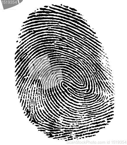 Image of perfect thumb fingerprint