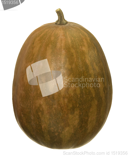 Image of butternut pumpkin