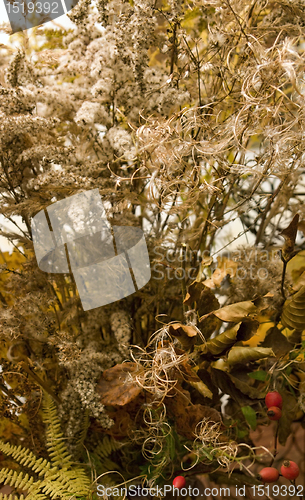 Image of autumn background