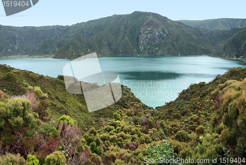 Image of overgrown lakeside scenery at the Azores