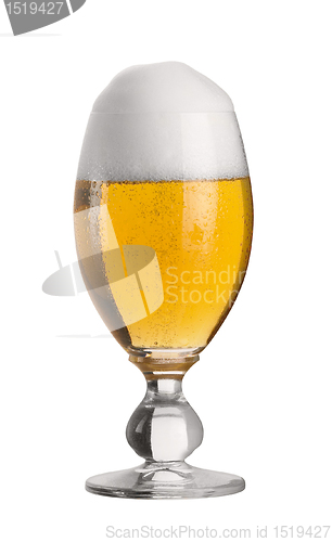 Image of perfect glass of pils beer