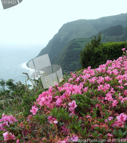 Image of Azores coastal scenery