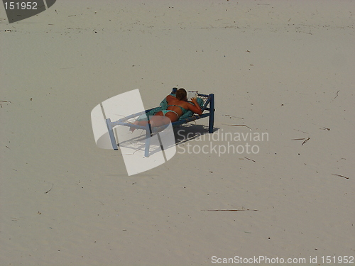 Image of sunseeker