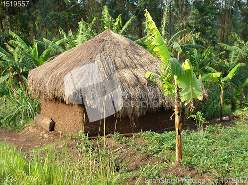 Image of small shack near Rwenzori Mountains