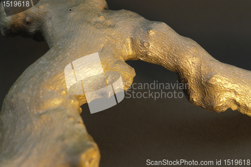 Image of shiny root