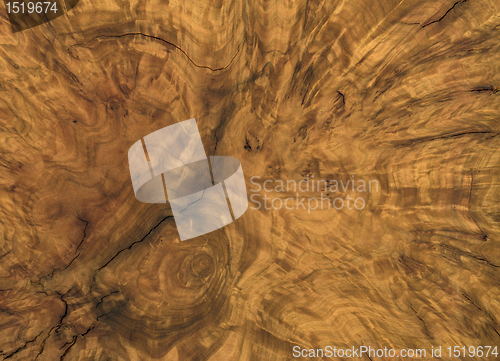 Image of brown burl wood detail