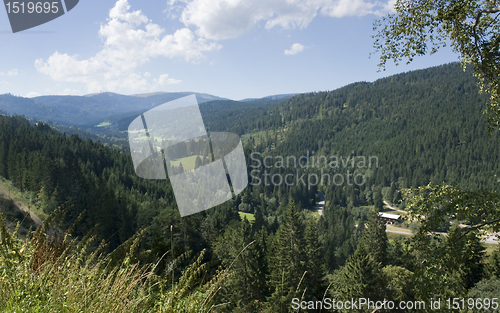 Image of idyllic Black Forest scenery