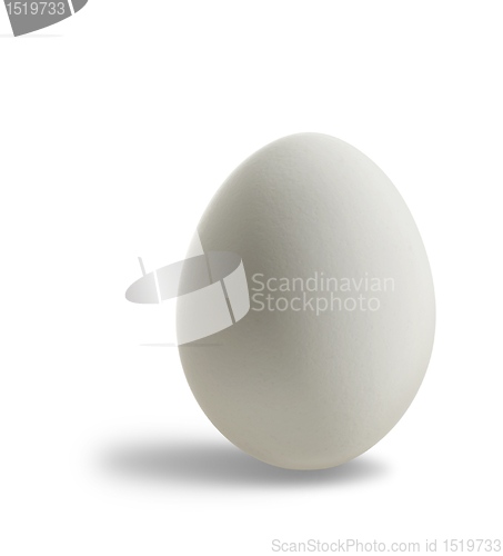 Image of white egg