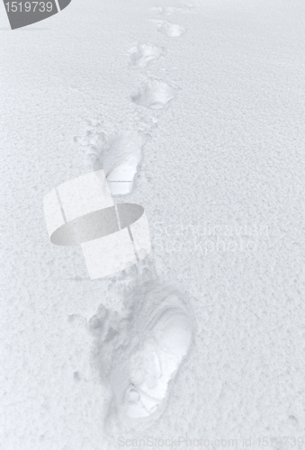 Image of footmarks in the snow
