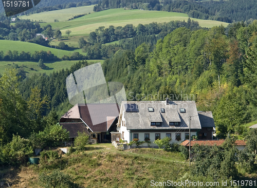 Image of Black Forest scenery at summer time